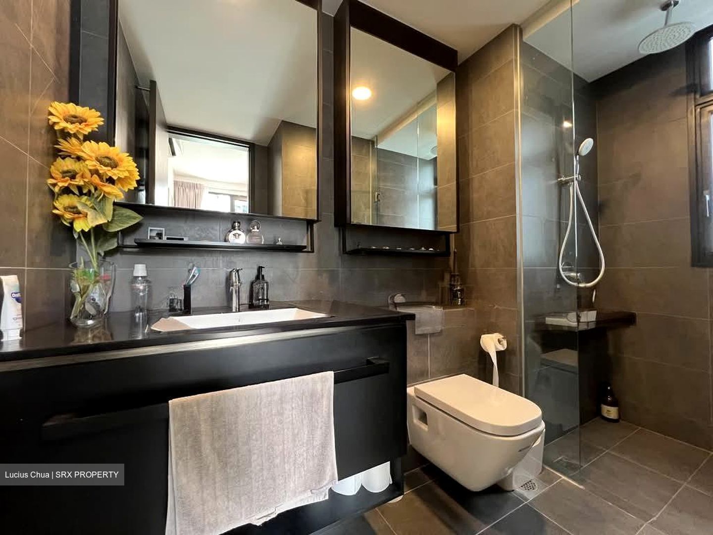 Park Colonial (D13), Condominium #561249331